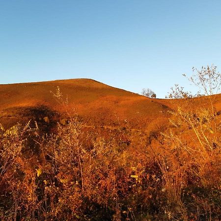 Apartamento Rural Elizondo Dış mekan fotoğraf