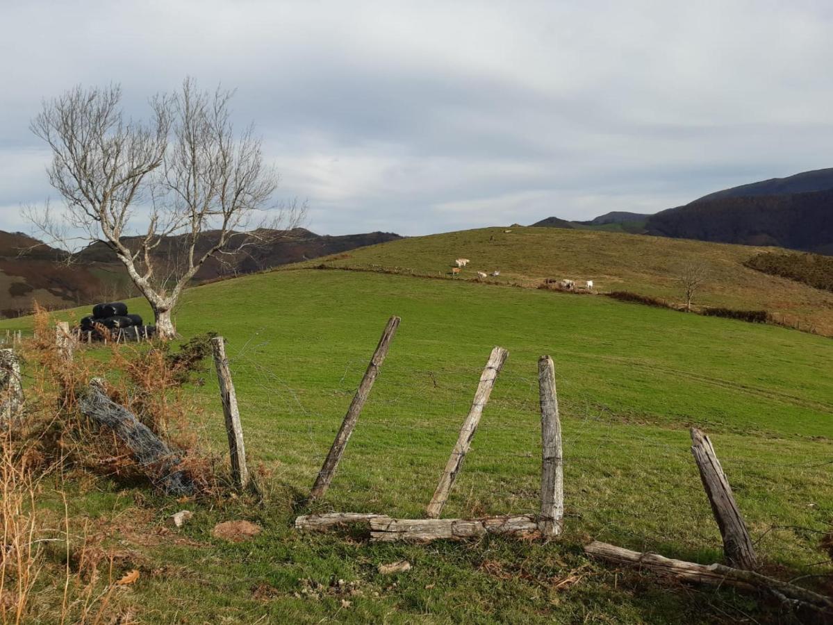 Apartamento Rural Elizondo Dış mekan fotoğraf