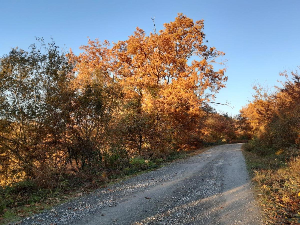 Apartamento Rural Elizondo Dış mekan fotoğraf