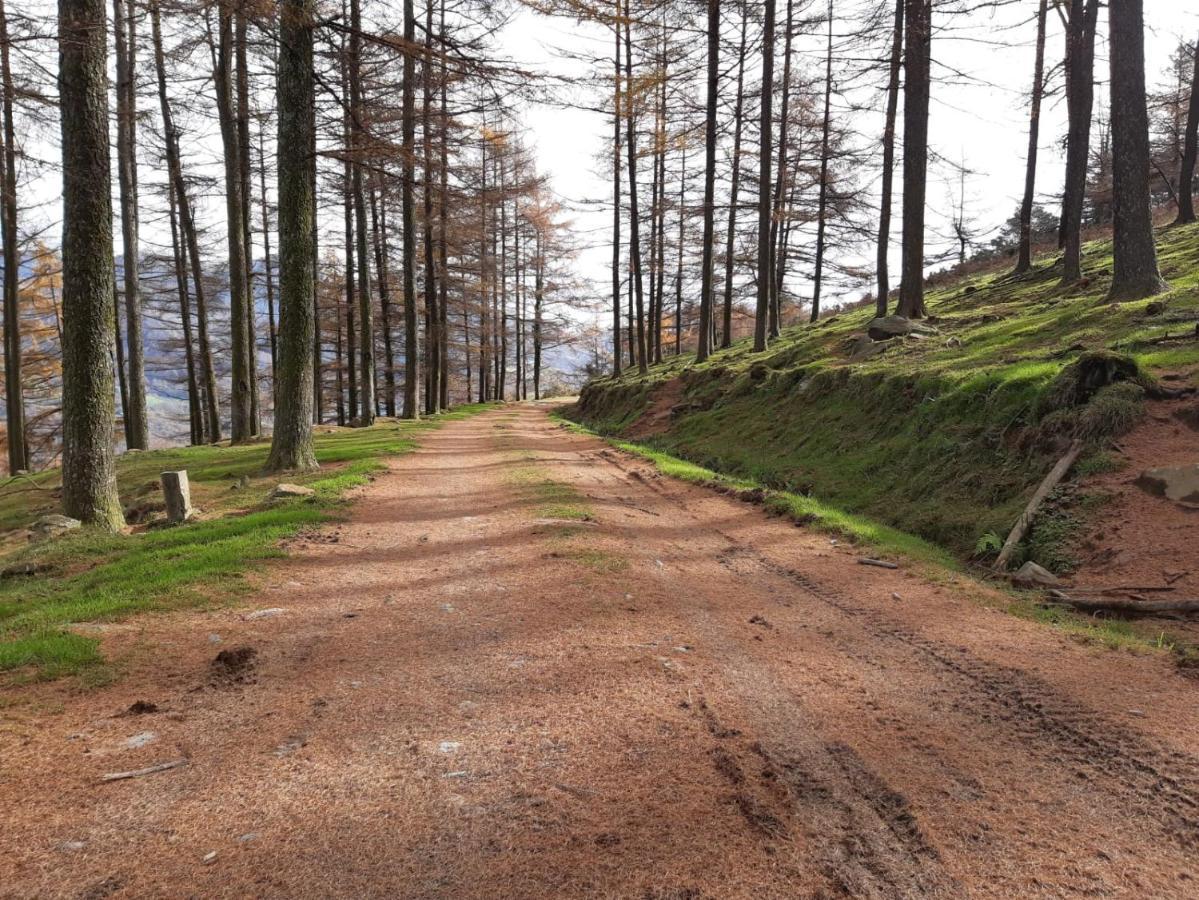 Apartamento Rural Elizondo Dış mekan fotoğraf