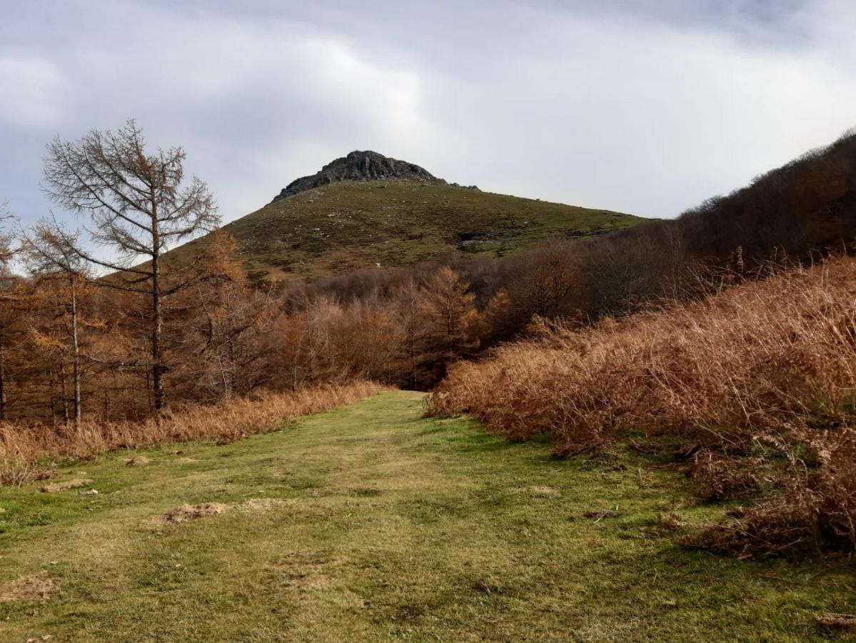 Apartamento Rural Elizondo Dış mekan fotoğraf