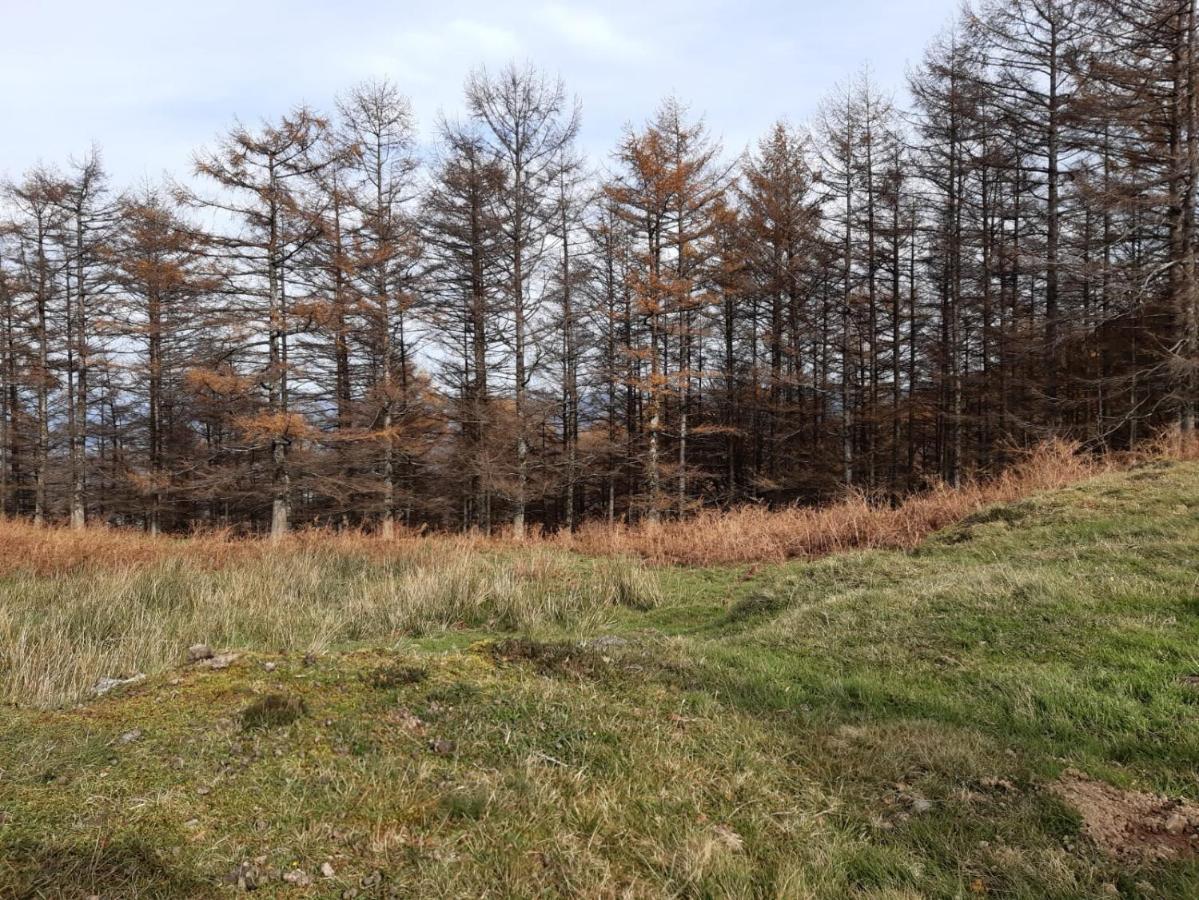 Apartamento Rural Elizondo Dış mekan fotoğraf